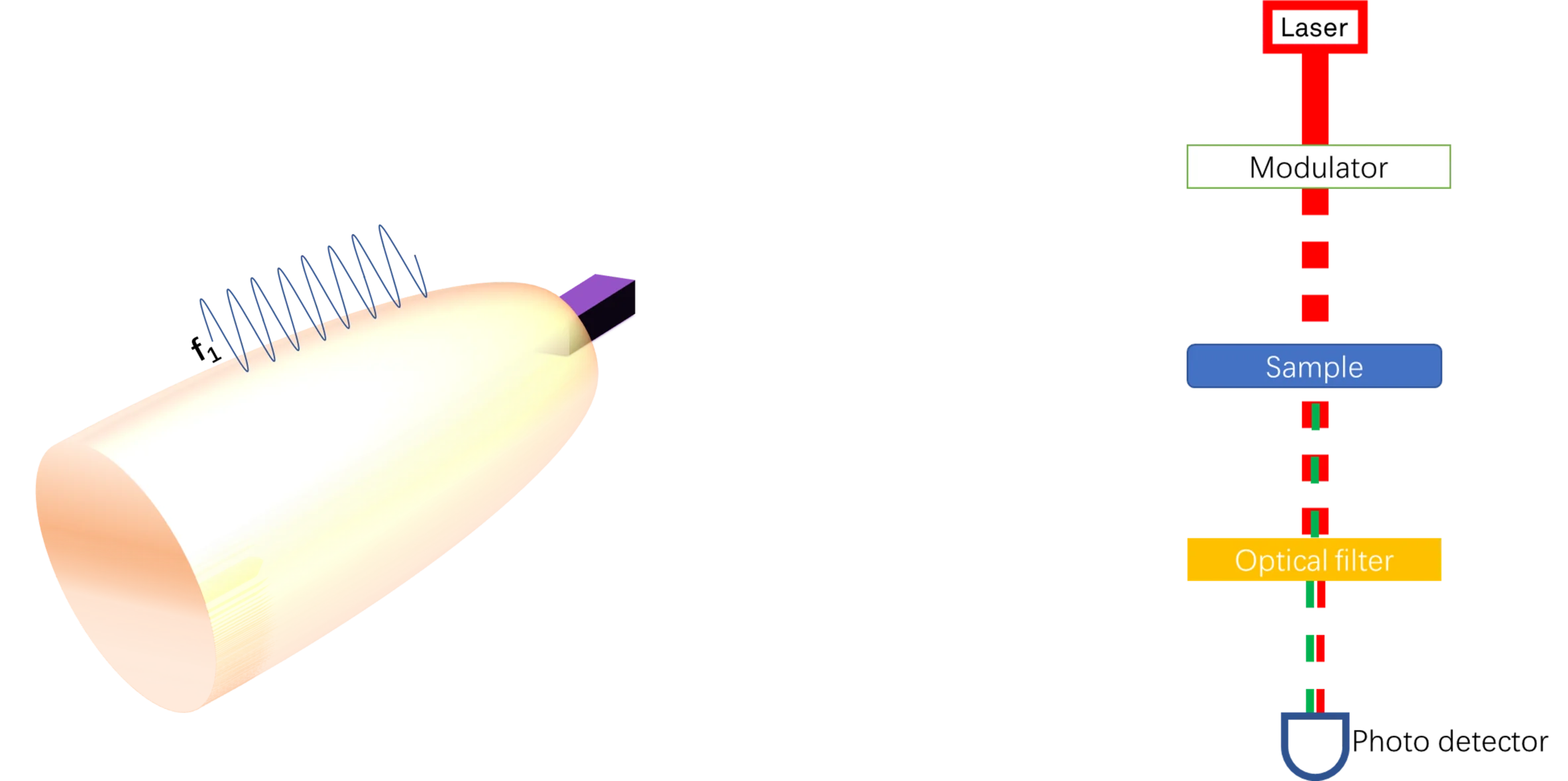 Fig1