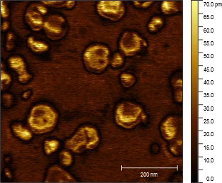 Vertical ZnO nanowire inside matrix captured with the HF2LI