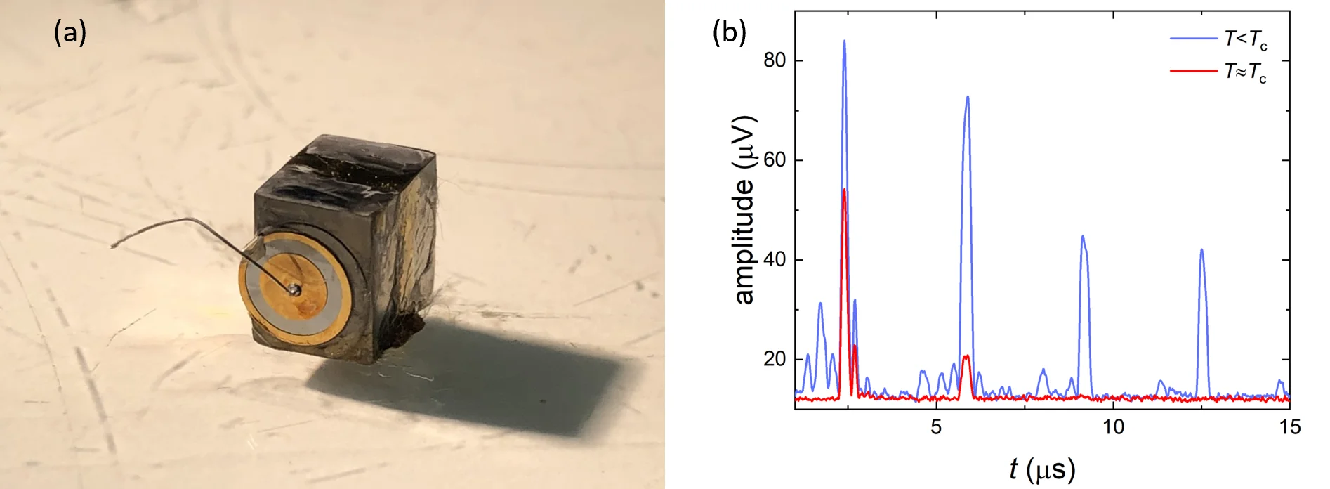 Picture of the Niobium (Nb) single crystal
